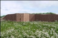 Sand Martin Wall